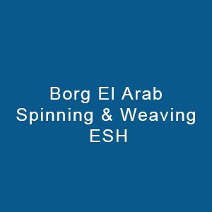 Borg El Arab Spinning & Weaving